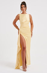 Natalie Sleeveless Backless Satin Maxi Dress